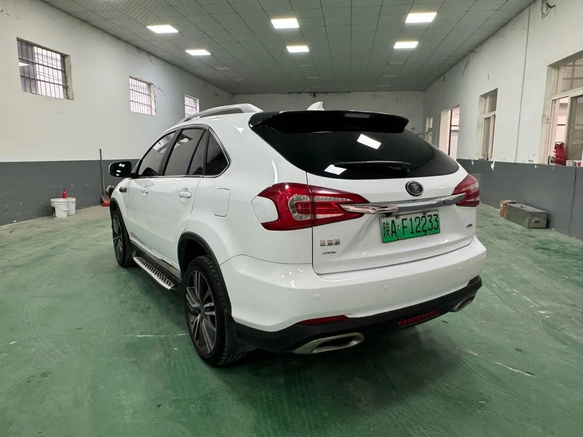 BYD 2017 2.0T 100 6