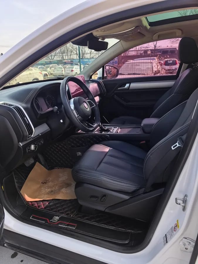 BYD 2018 2.0T 7 V 4
