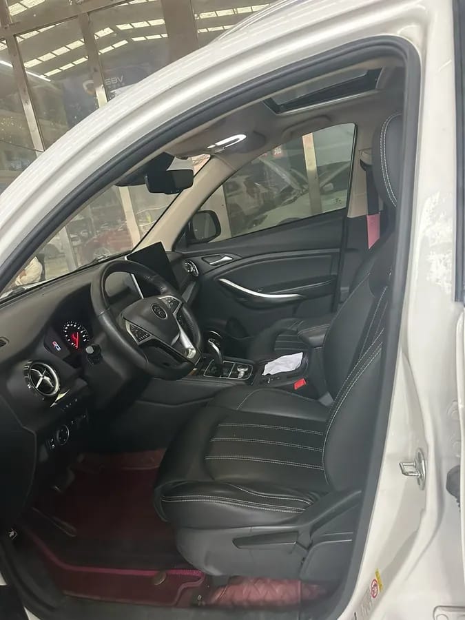 BYD 2019 DM 1.5TID 4