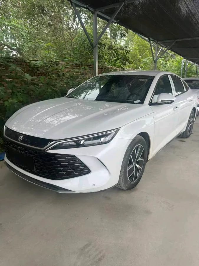 BYD L 2024 DM-i 80KM