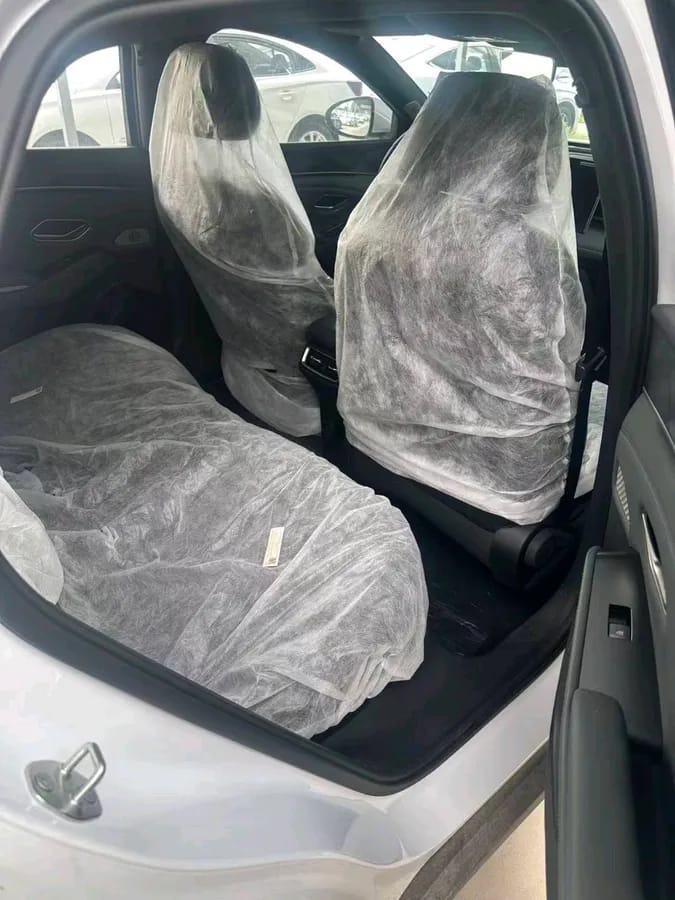 BYD L 2024 DM-i 80KM 3