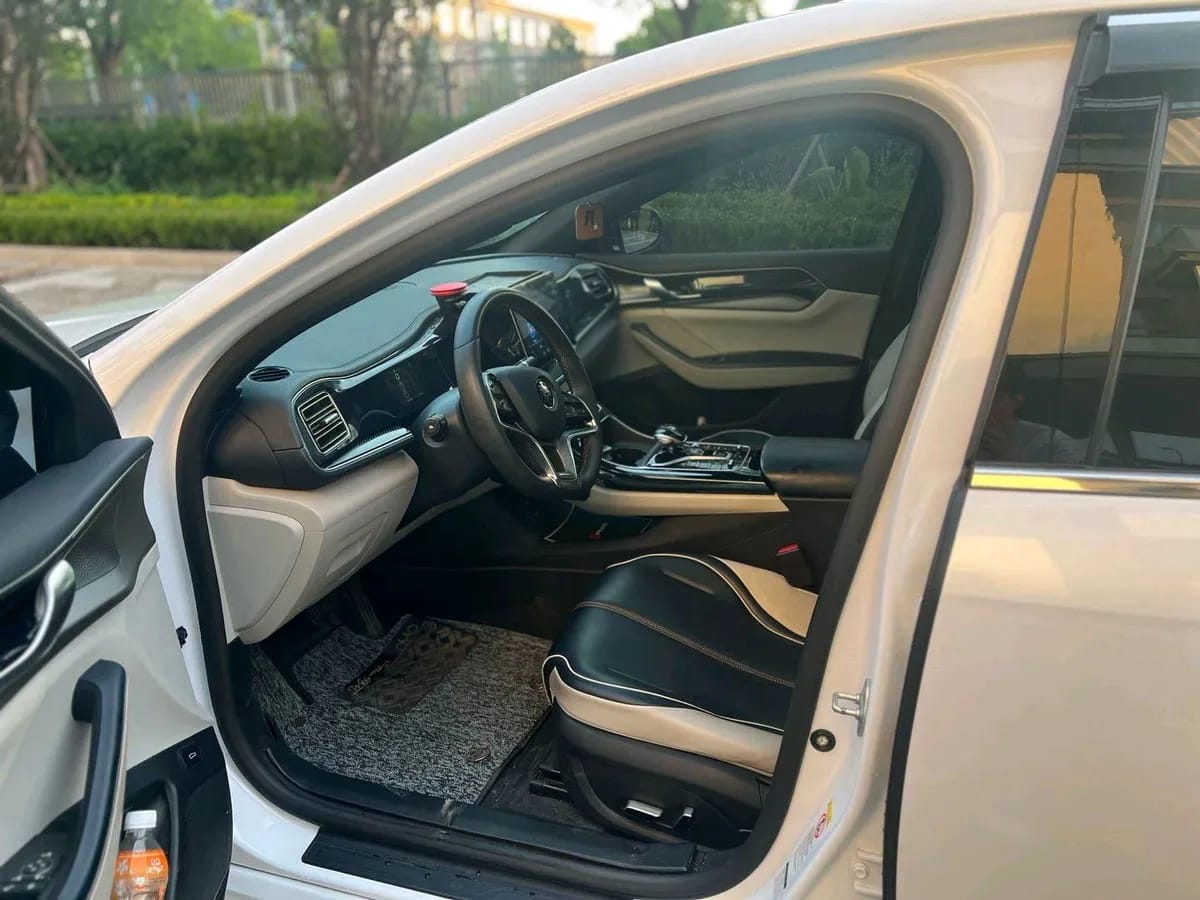 BYD PLUS 2021 EV 420KM 7