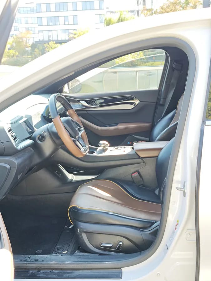 BYD PLUS 2021 EV 600KM 8