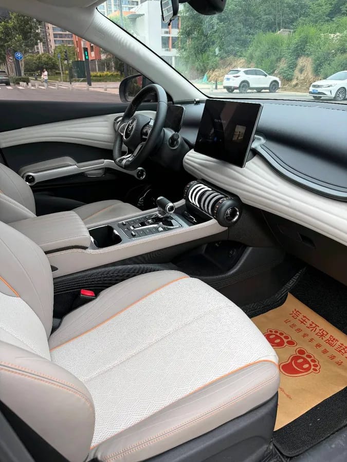 BYD PLUS 2022 430KM 8