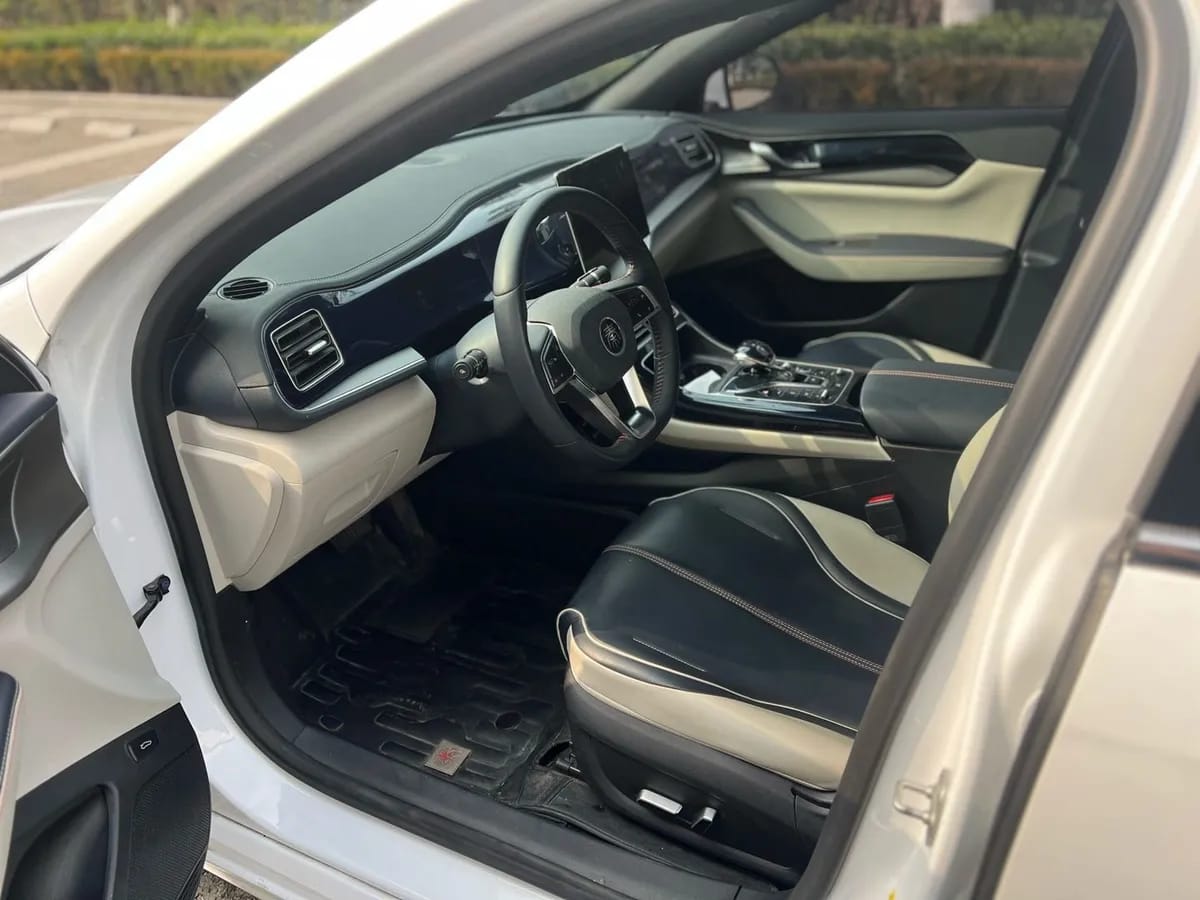 BYD PLUS 2023 DM-i 55KM 5
