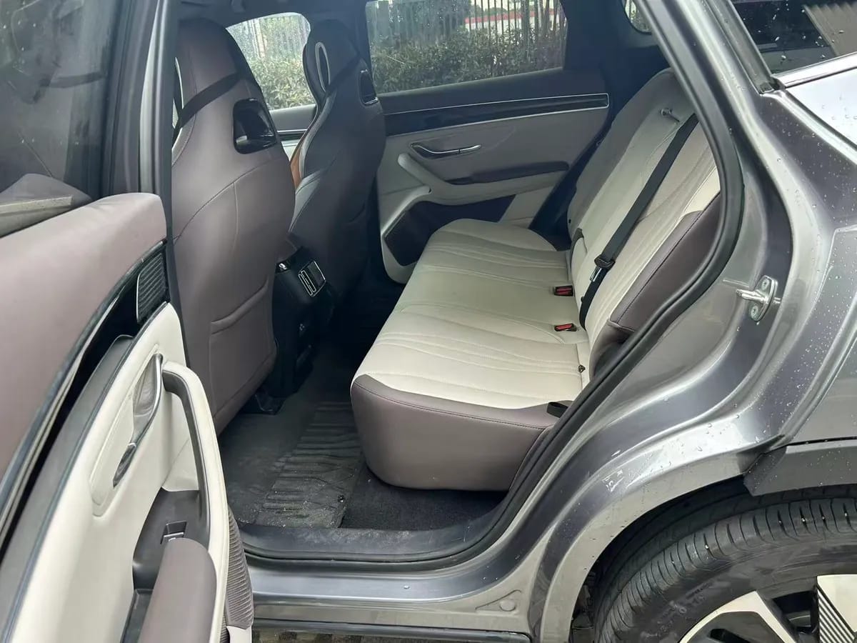 BYD PLUS 2025 EV 520km 6