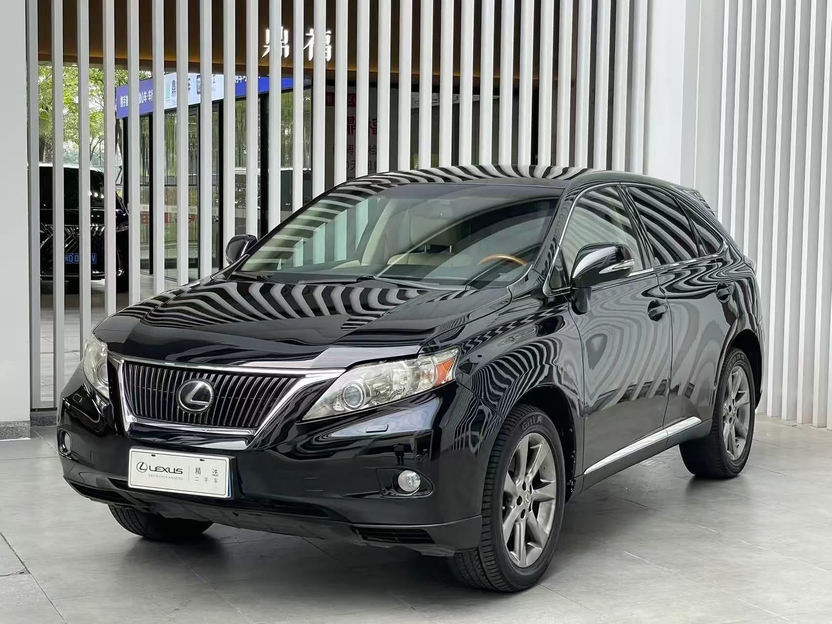 Lexus RX 2009