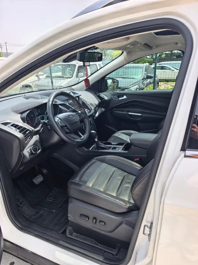 Ford 2017 EcoBoost 245 4