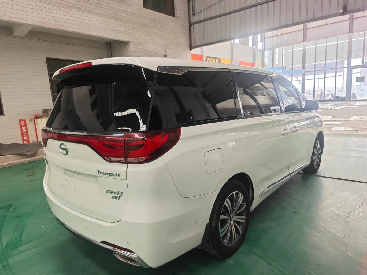 GAC Trumpchi M8 2018 320T 6