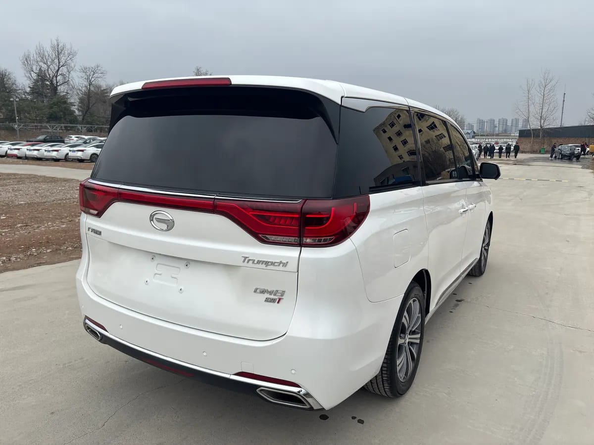 GAC Trumpchi M8 2019 320T 6