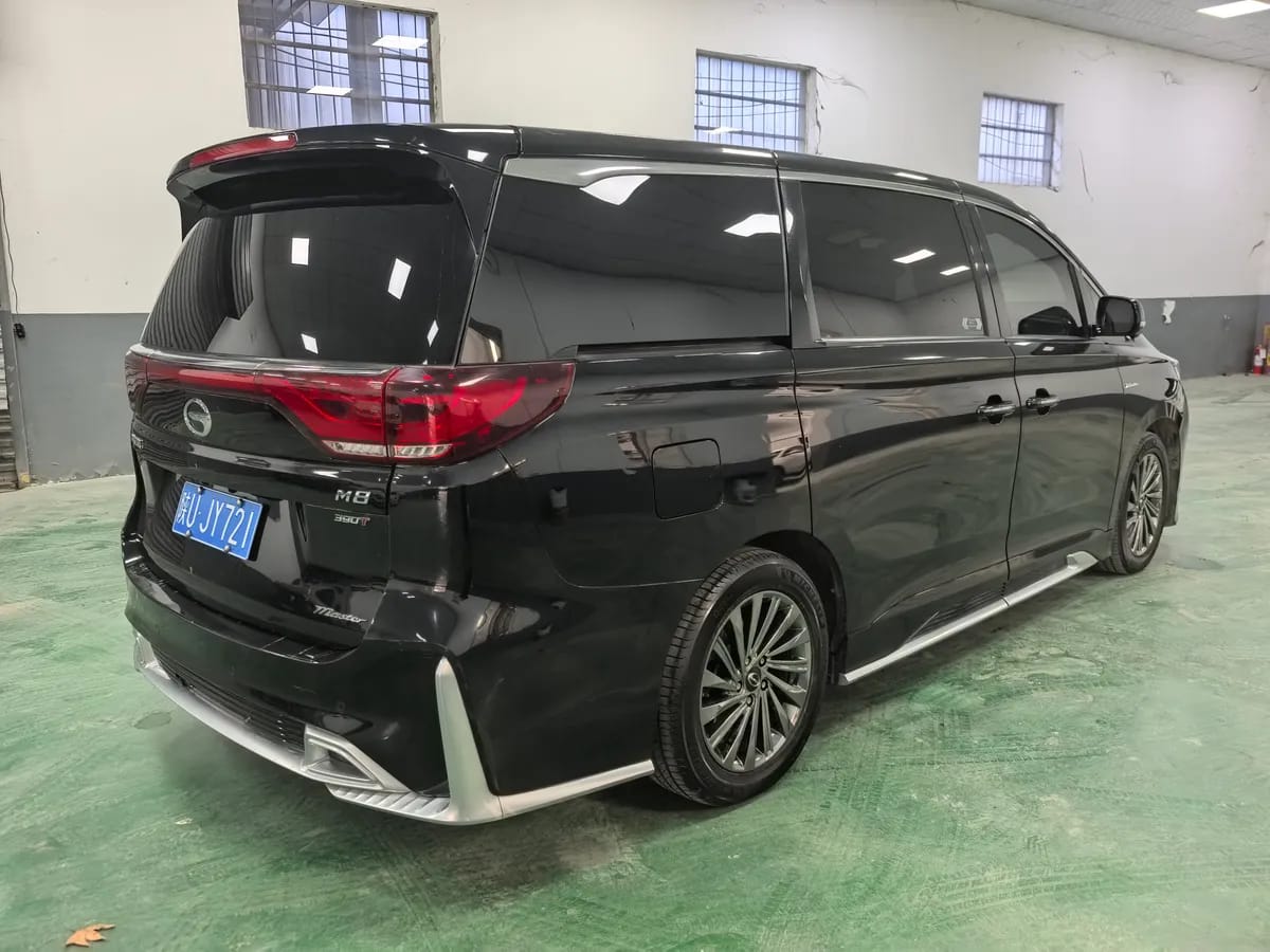 GAC Trumpchi M8 2020 390T 6