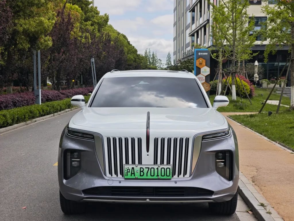 Hongqi E-HS9 2021 510km