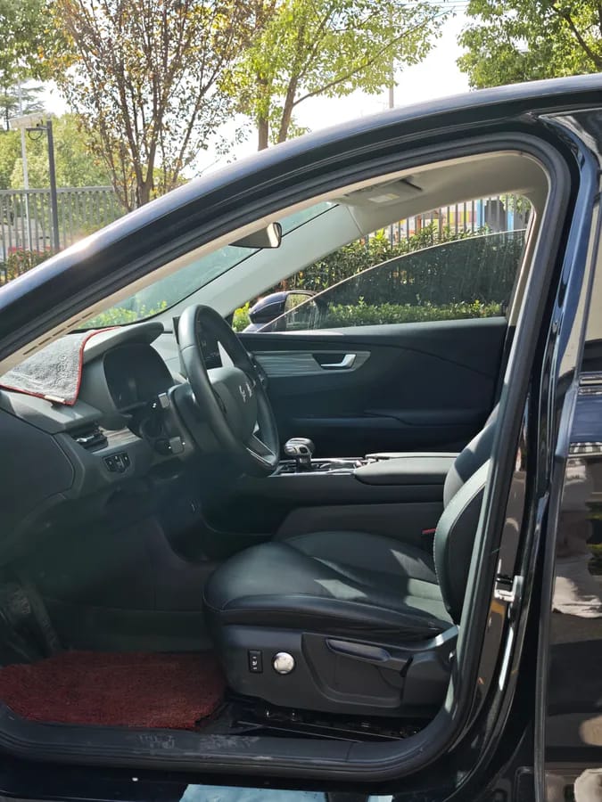 Hongqi E-QM5 2023 560km PLUS 9