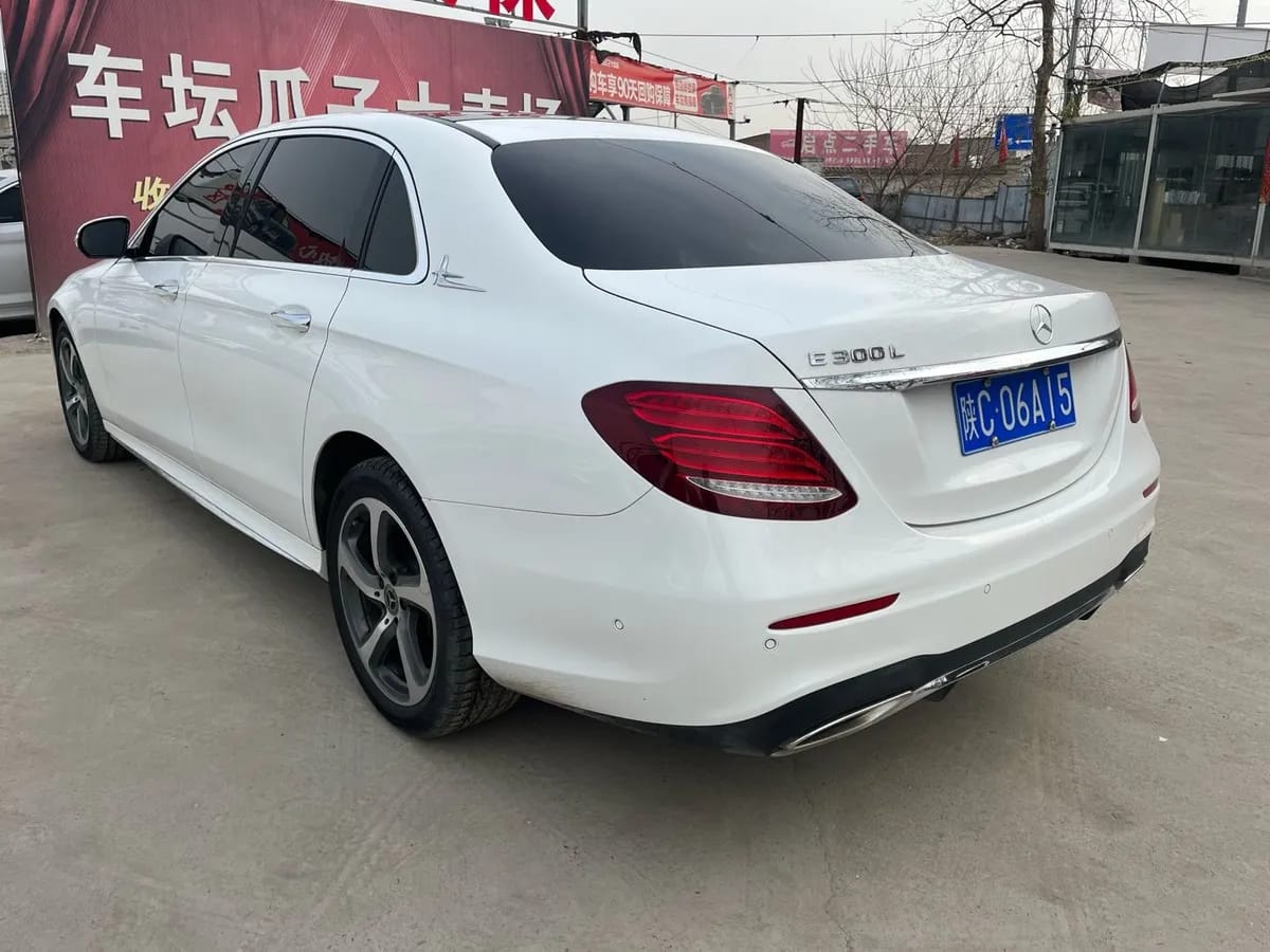 Mercedes-Benz E 2019 E 300 L 10