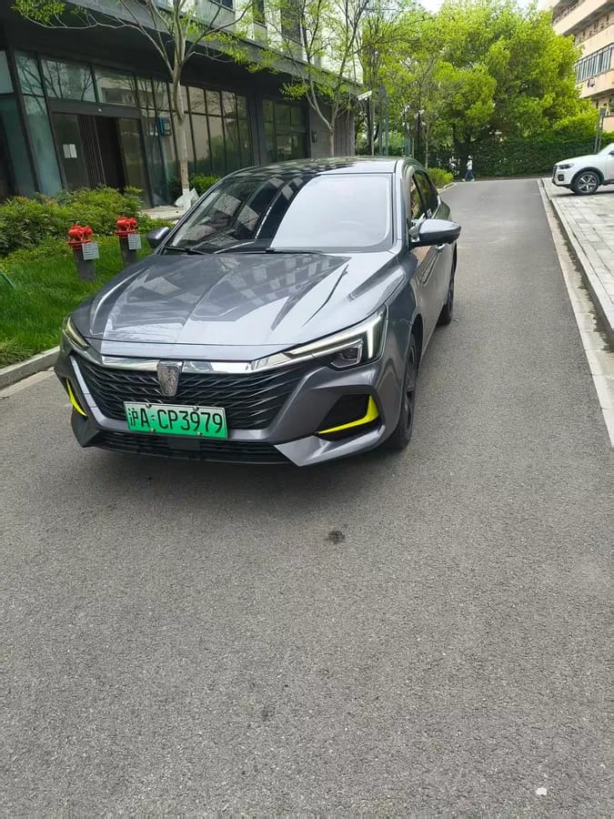 Roewe i6 MAX 2021 EV 500 7