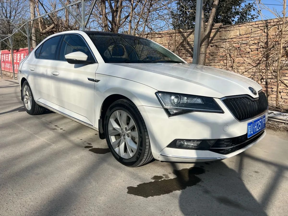 Skoda 2016 TSI330 DSG 3