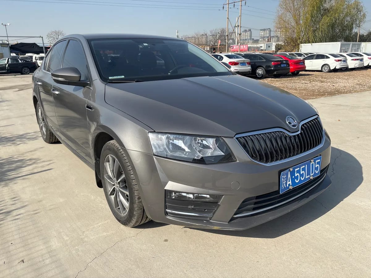Skoda 2017 1.6L 3