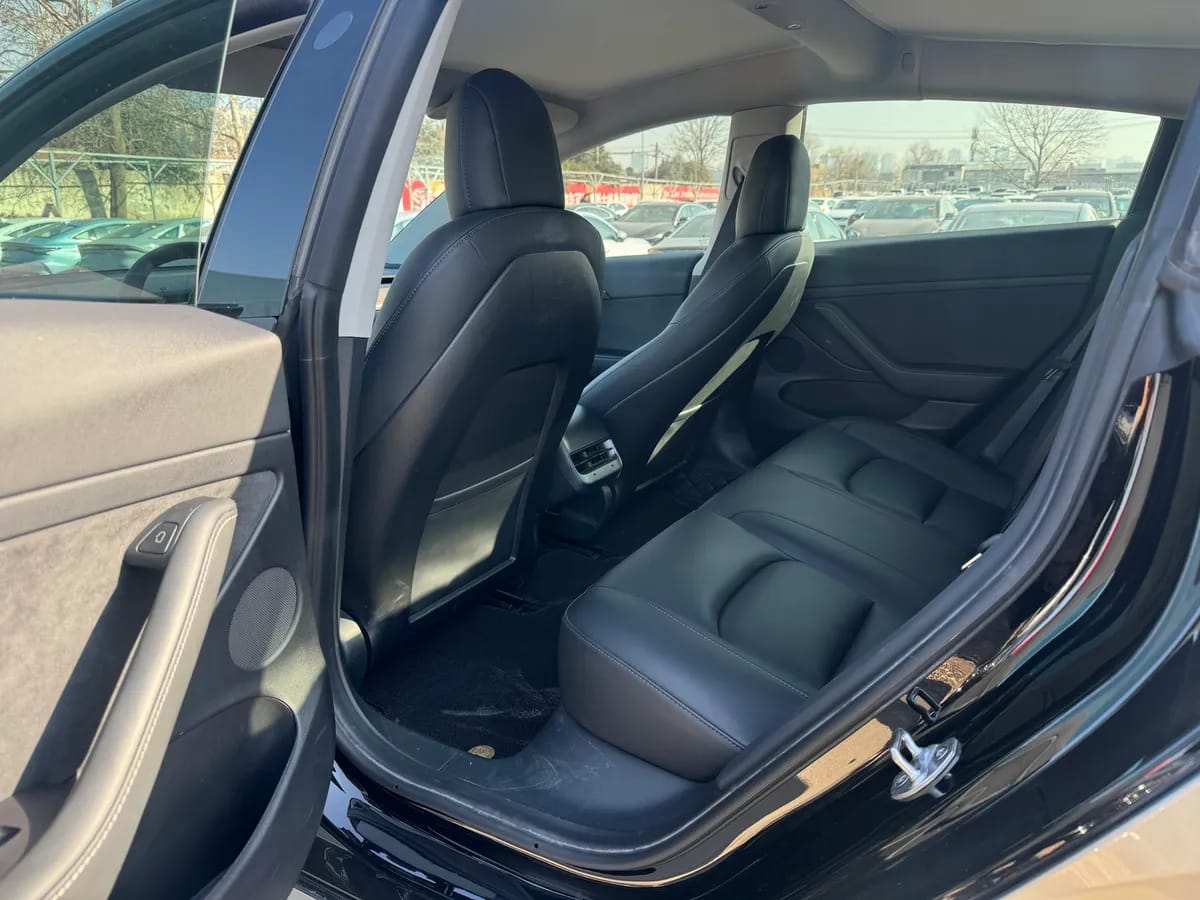 Tesla Model 3 2021 3D1 5