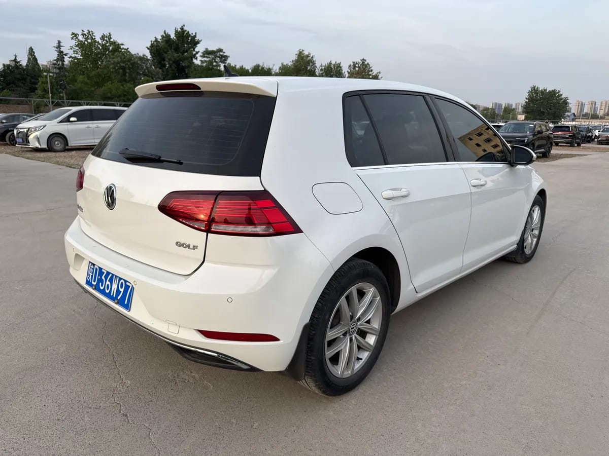 Volkswagen 2019 1.6L V 4