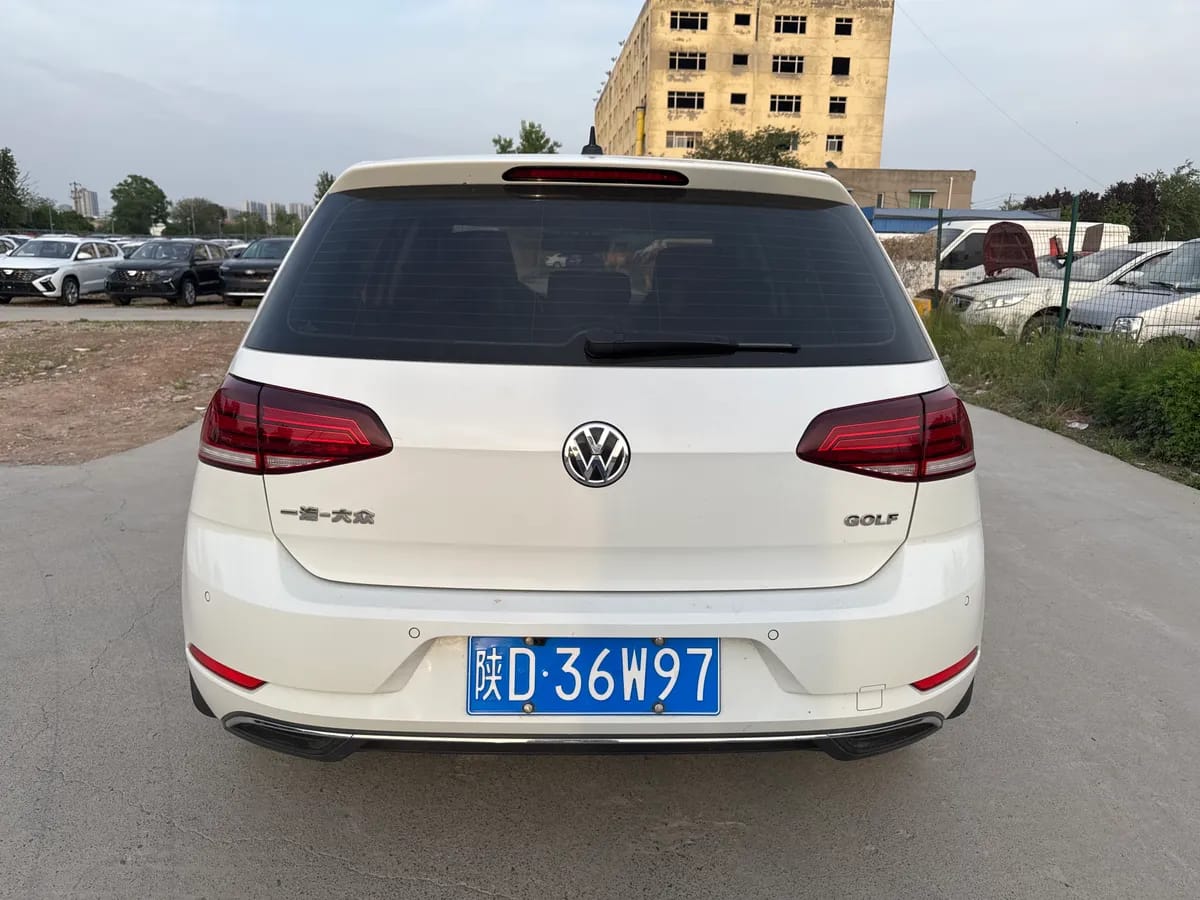 Volkswagen 2019 1.6L V 5