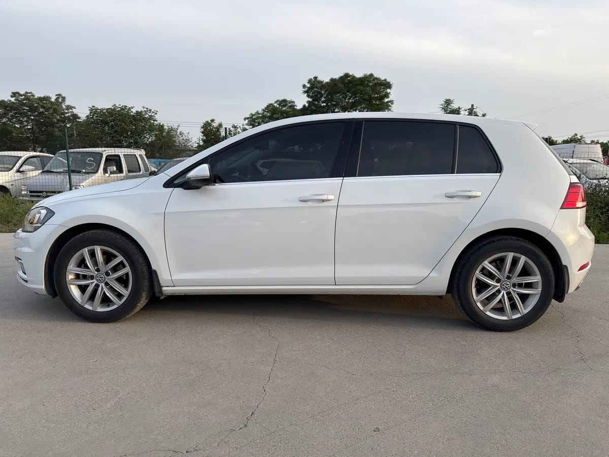 Volkswagen 2019 1.6L V 7