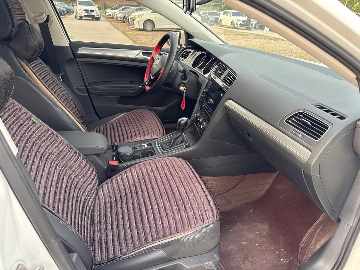 Volkswagen 2019 1.6L V 8