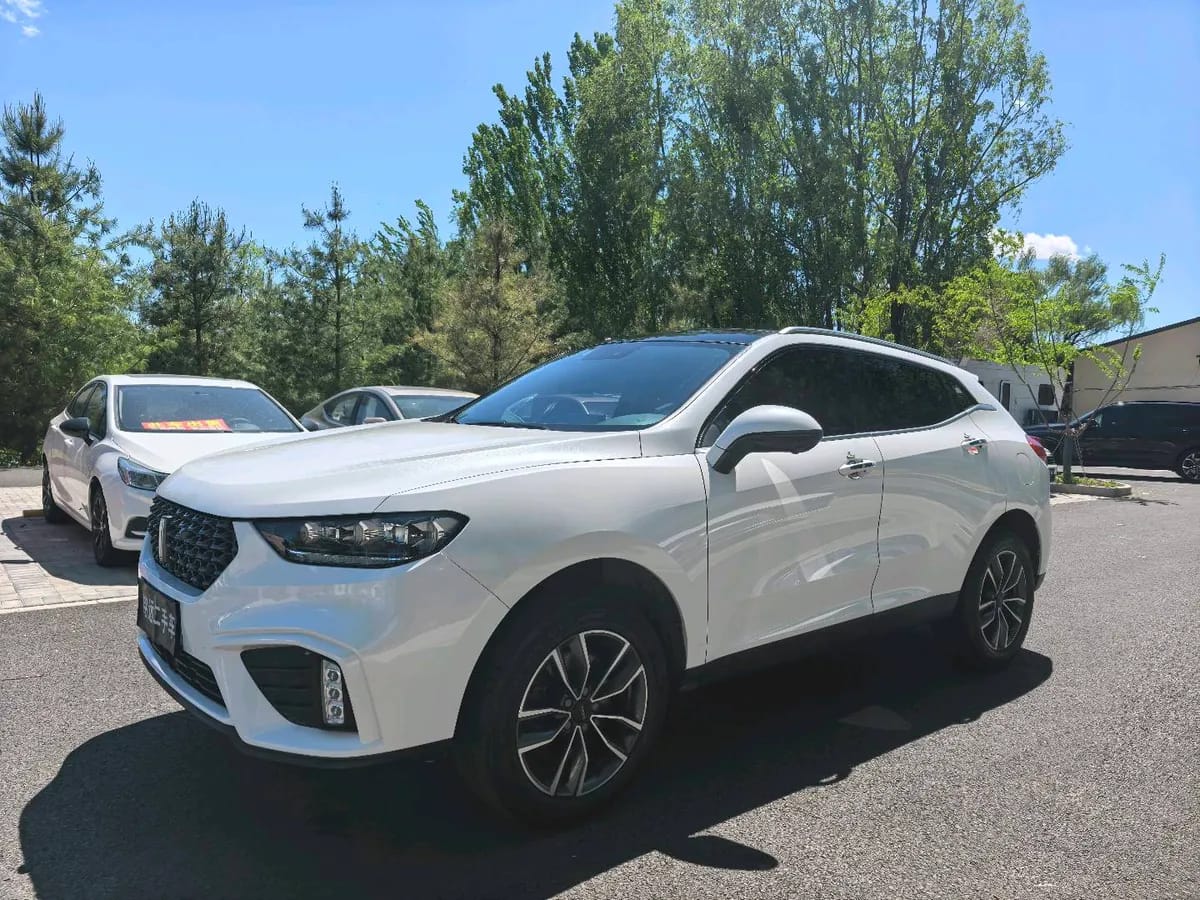 Wey VV5 2020 1.5T 2