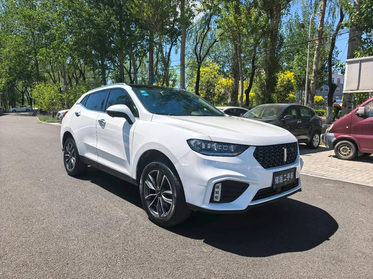 Wey VV5 2020 1.5T 3
