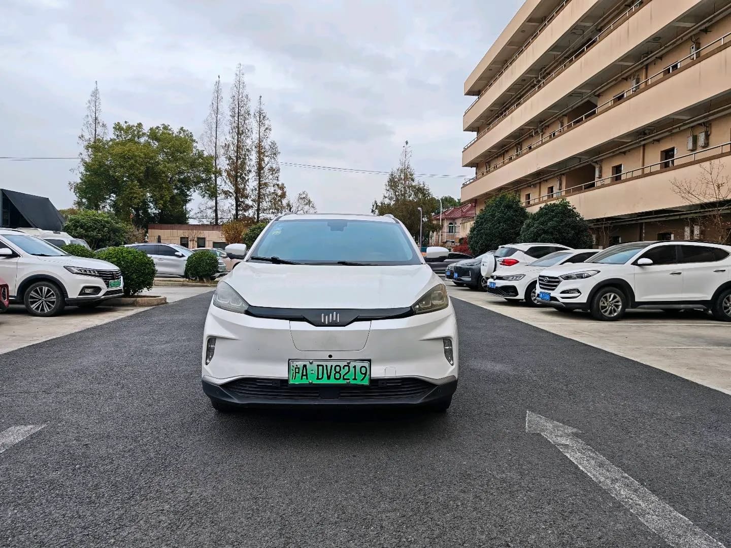 WM Motor EX5 2018 6