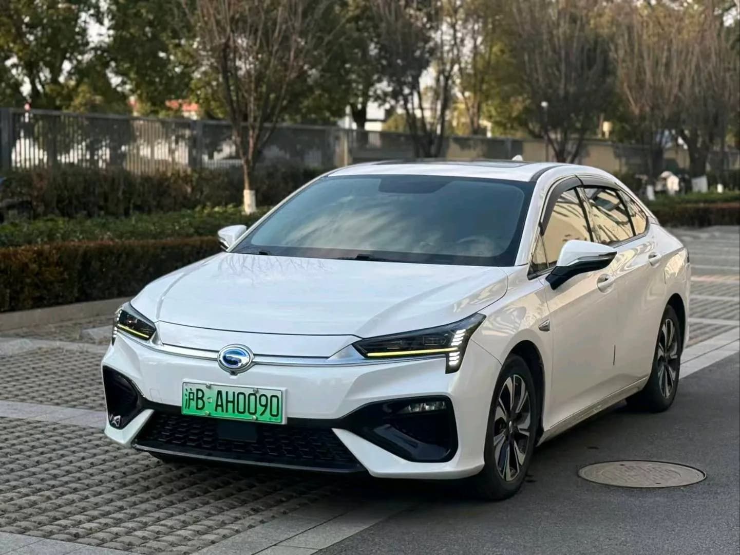 GAC Aion S 2019