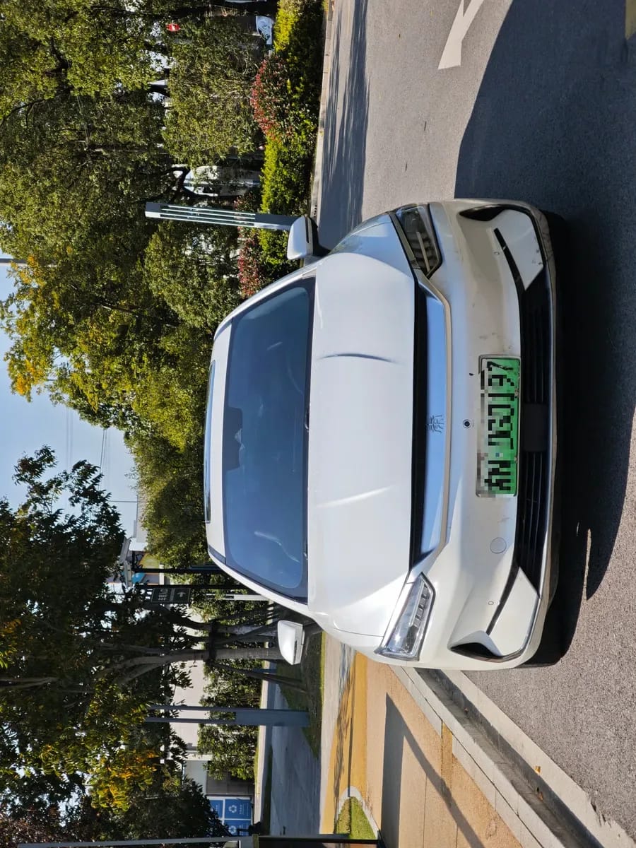 BYD PLUS 2021 EV 600KM