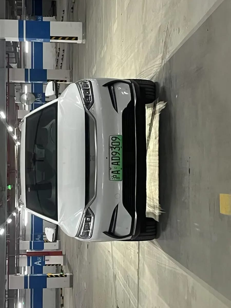 BYD PLUS 2021 EV