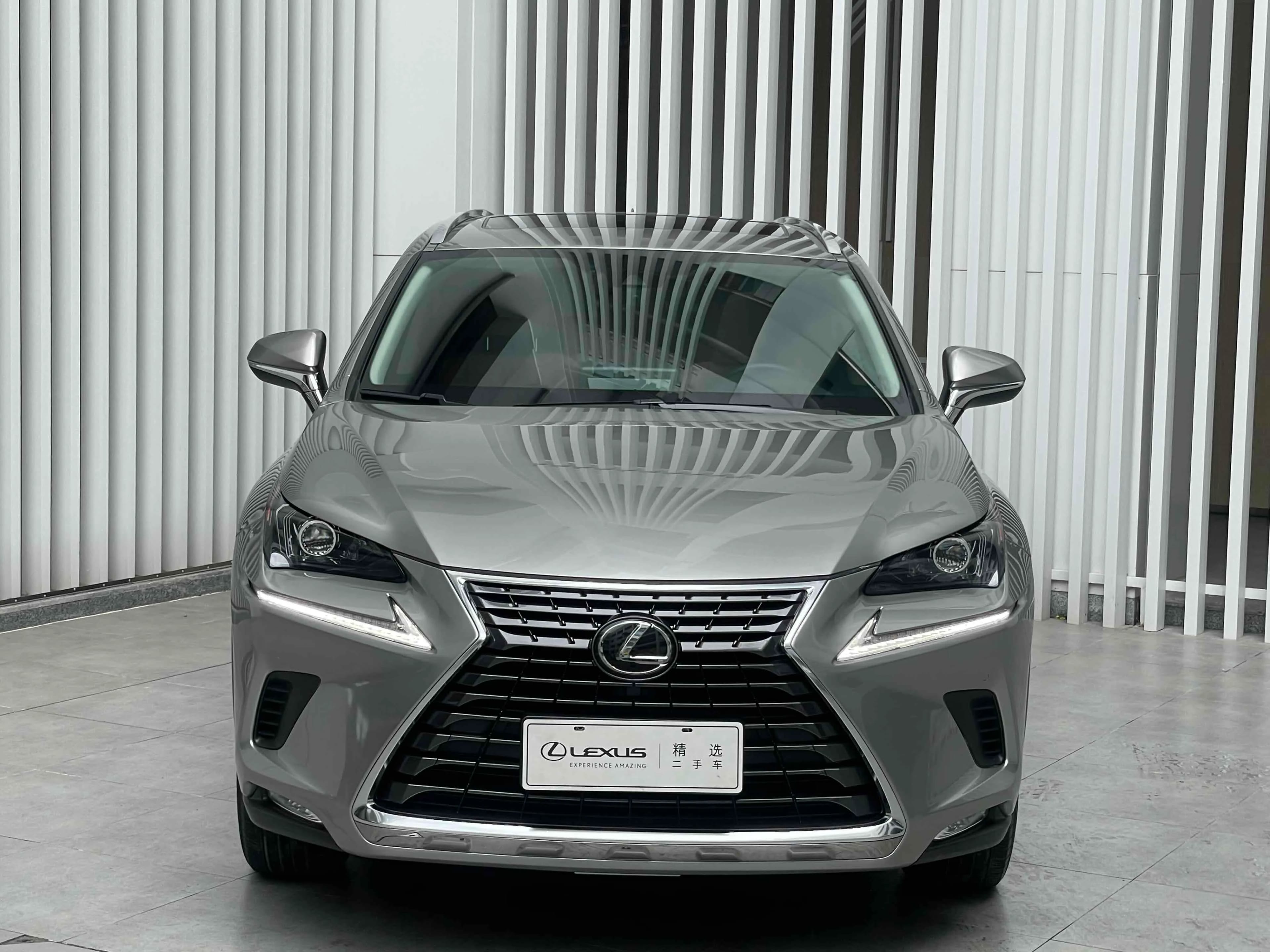 Lexus NX 2020 2