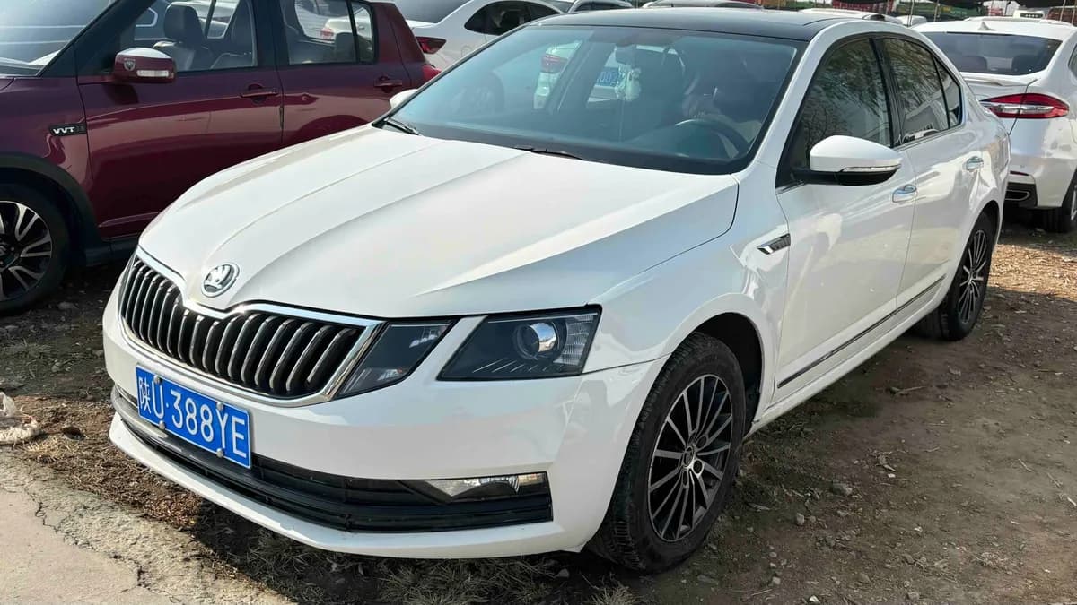 Skoda 2018 1.6L
