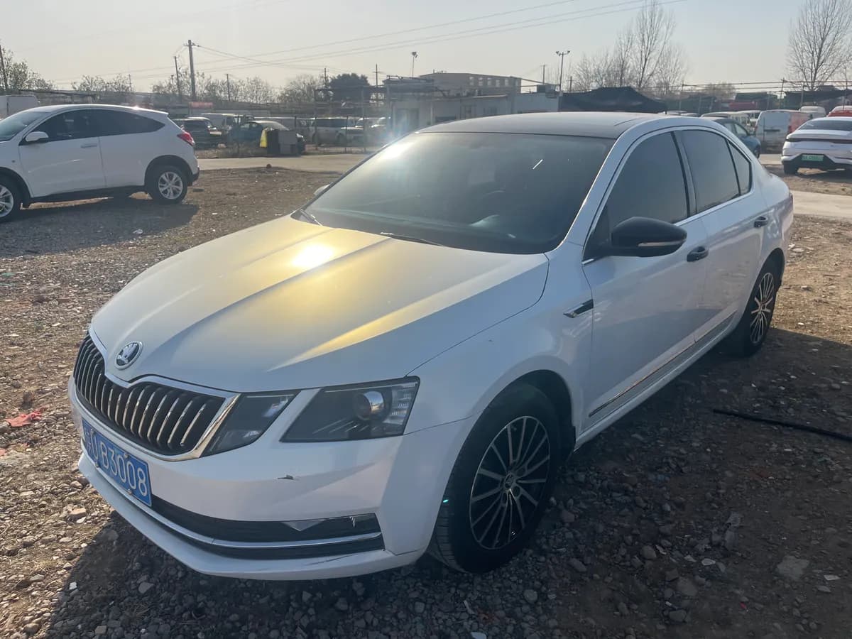 Skoda 2018 TSI230 DSG