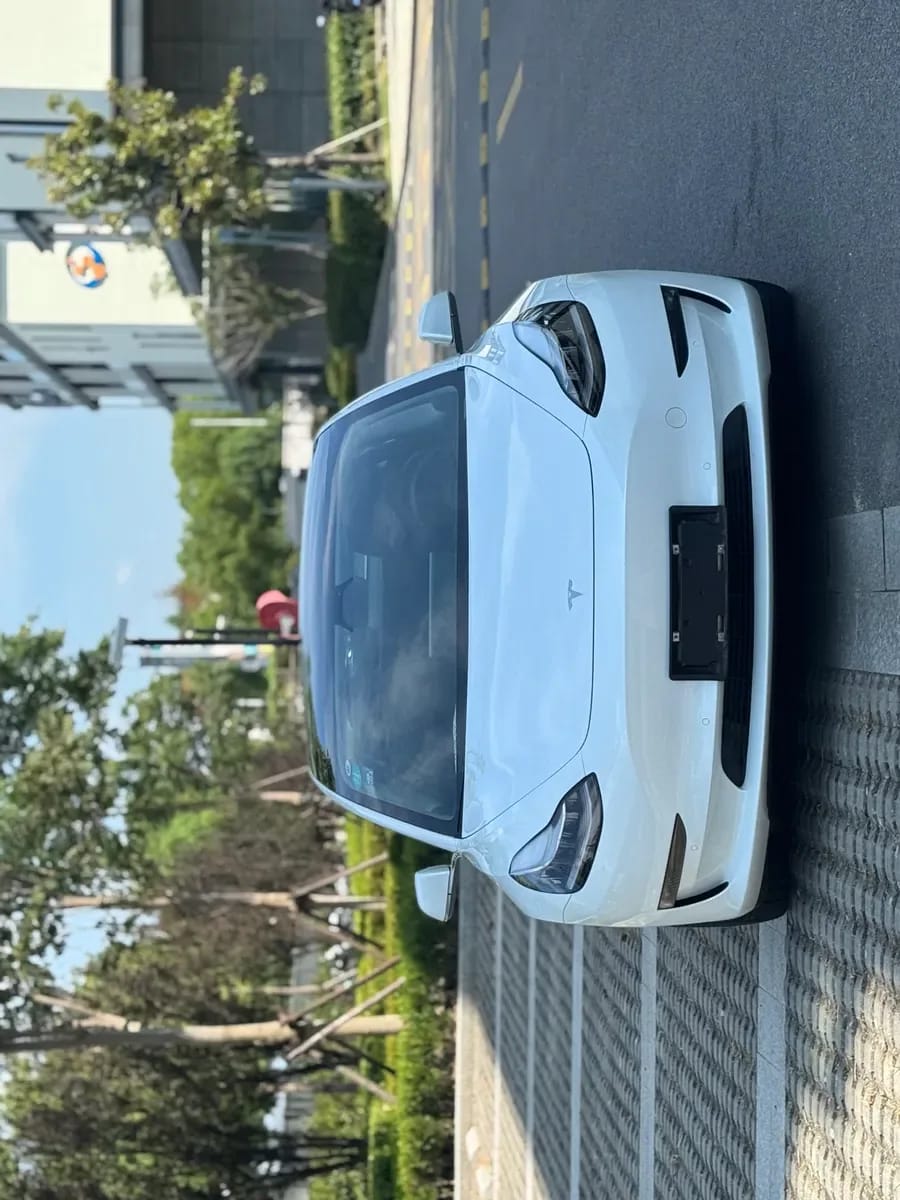 Tesla Model 3 2019