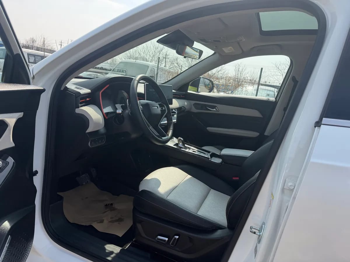 Haval Dargo 2021 7