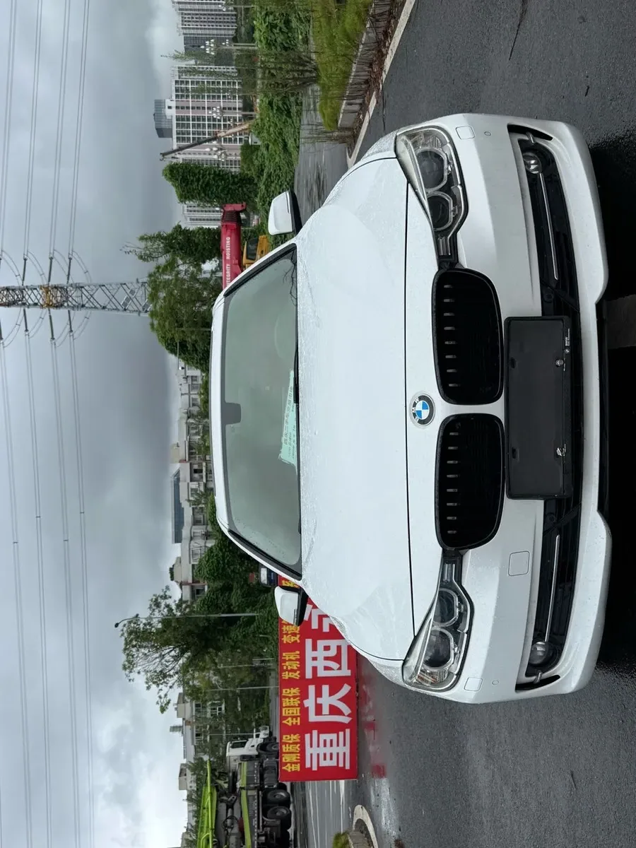 BMW 3 2014 320Li