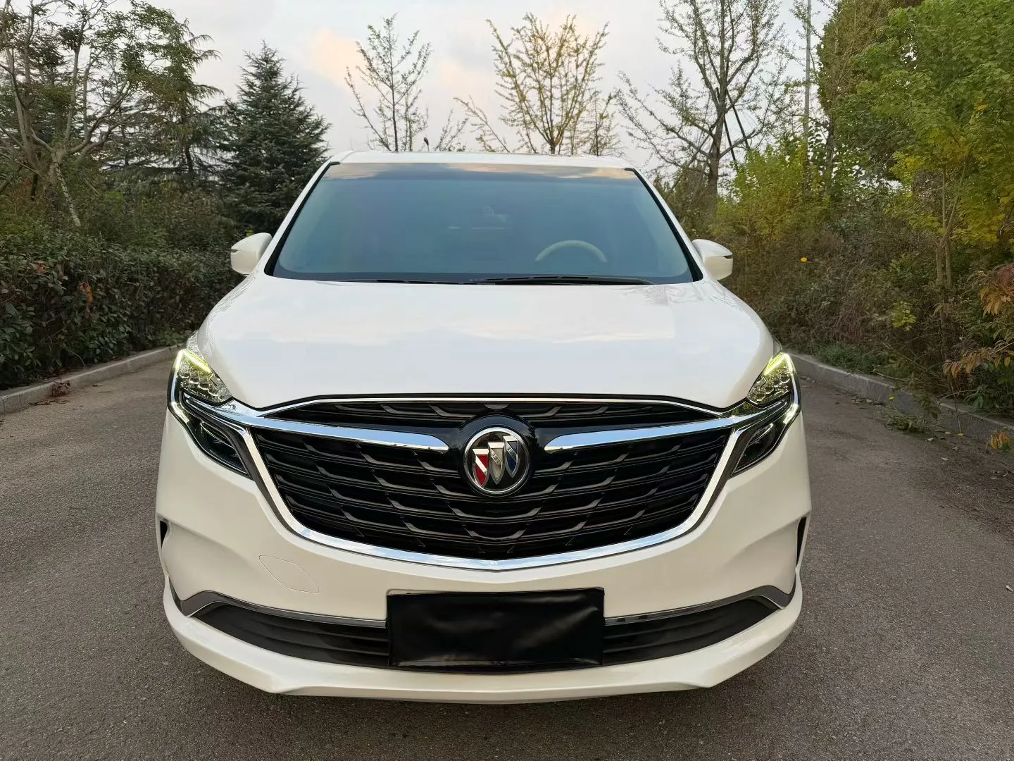 Buick GL8 2020