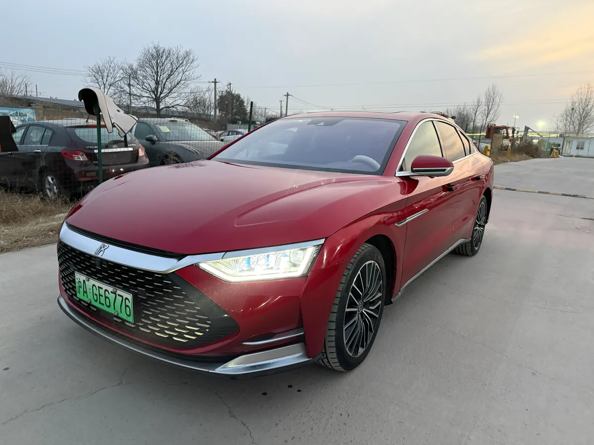 BYD 2020 DM