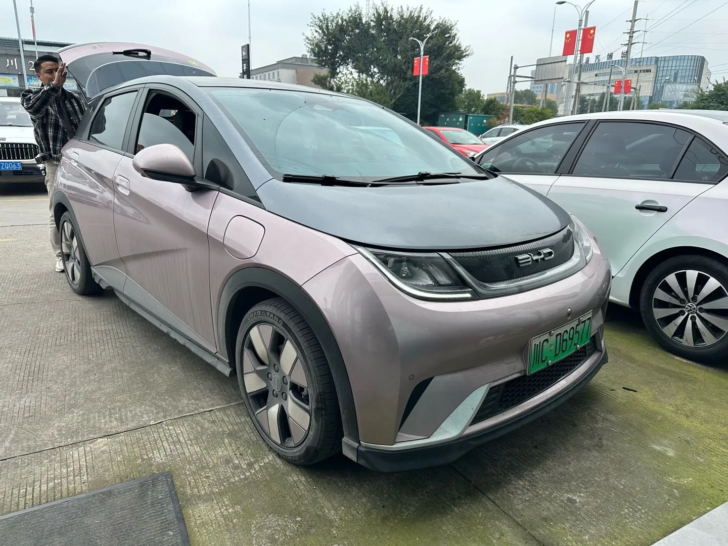 BYD Dolphin 2023 401km
