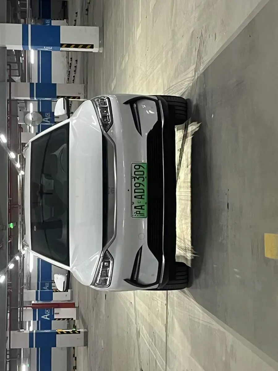BYD PLUS 2021 EV