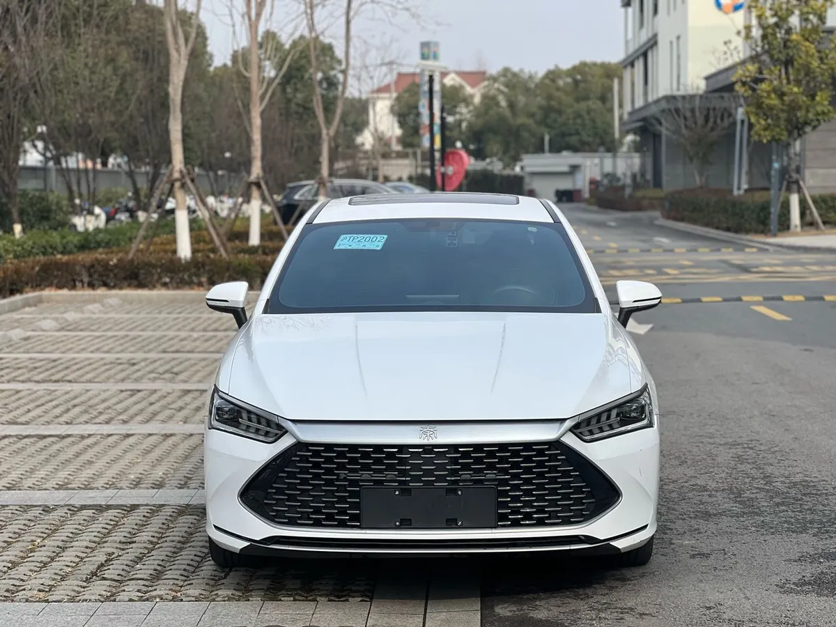 BYD PLUS 2023 DM-i 55KM