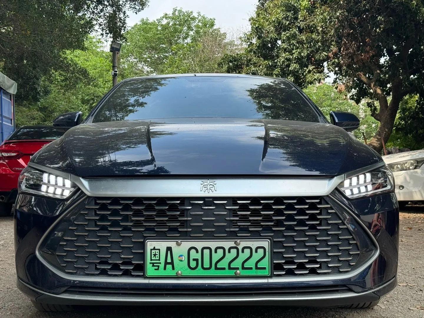 BYD Qin PLUS 2023 DM-i 55KM