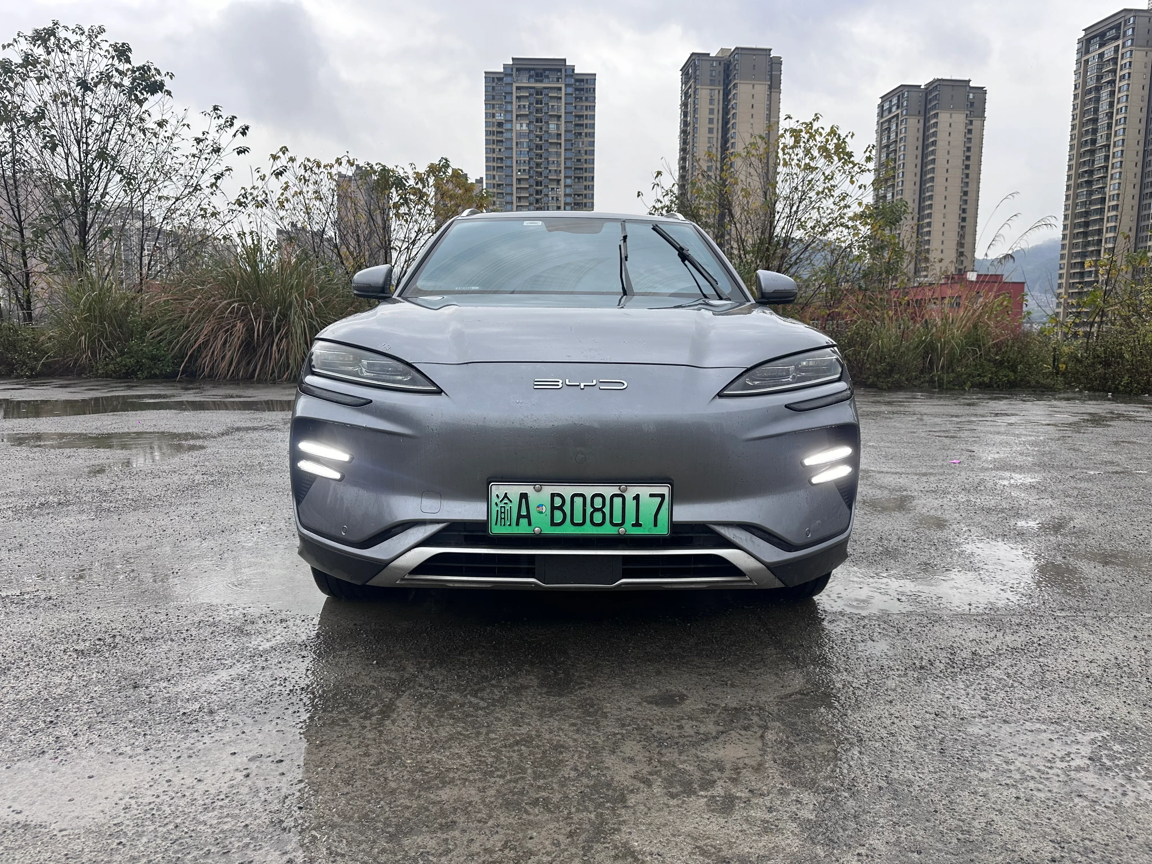 BYD Song PLUS 2024 EV 520km Luxury