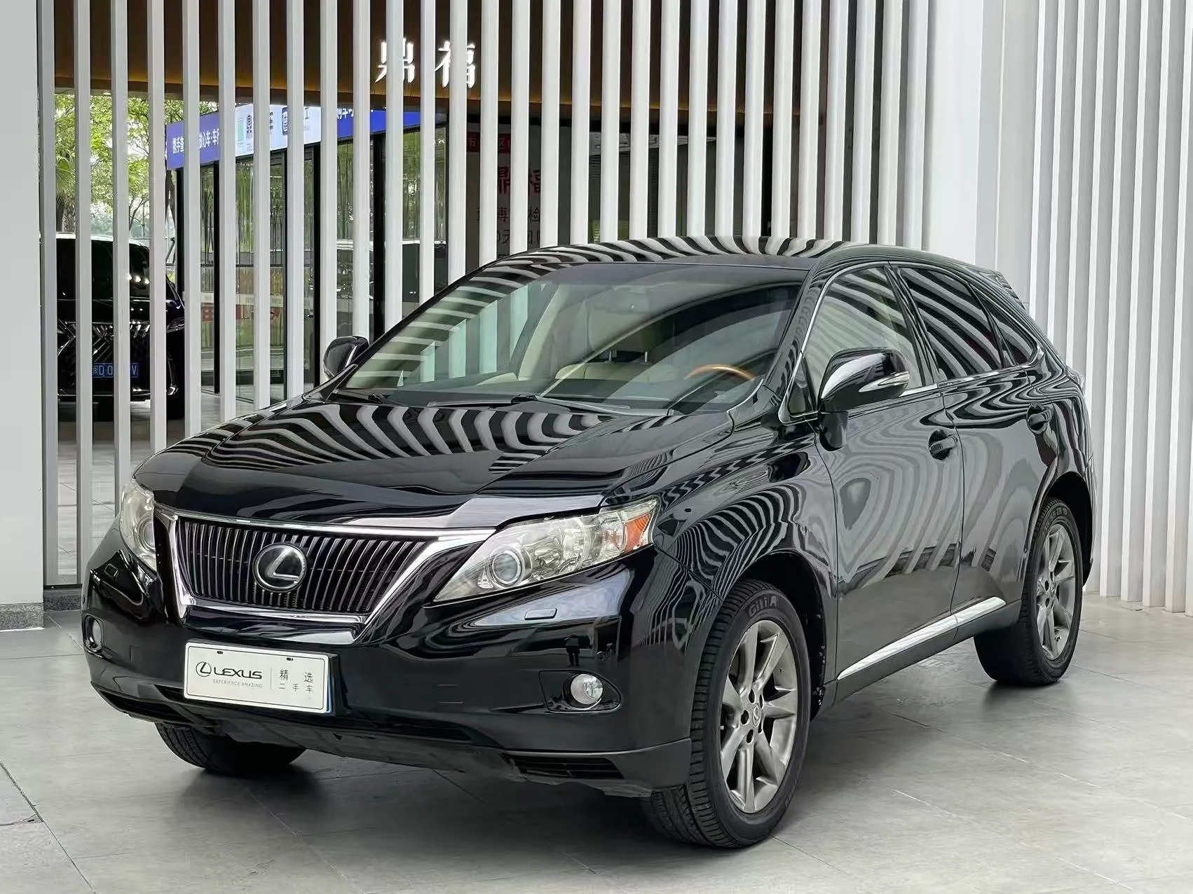 Lexus RX 2009