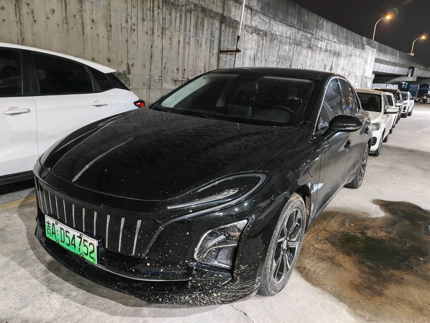 Hongqi E-QM5