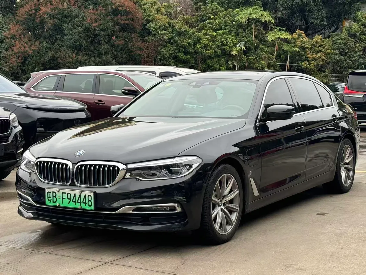 BMW 5 2019 530Le