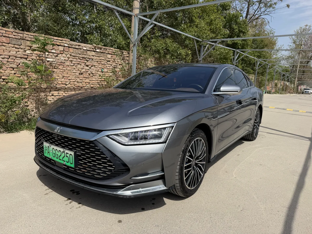 BYD 2020 DM