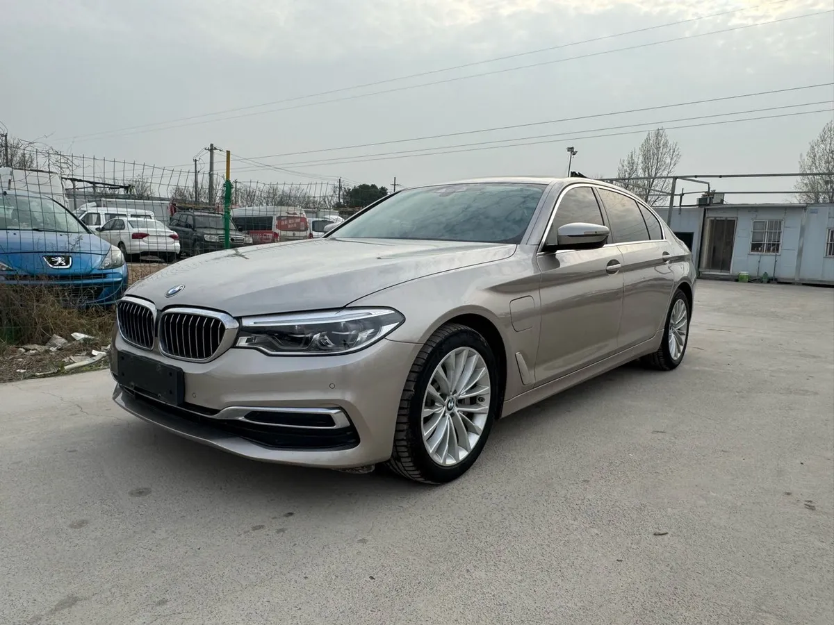 BMW 5 2020 530Le